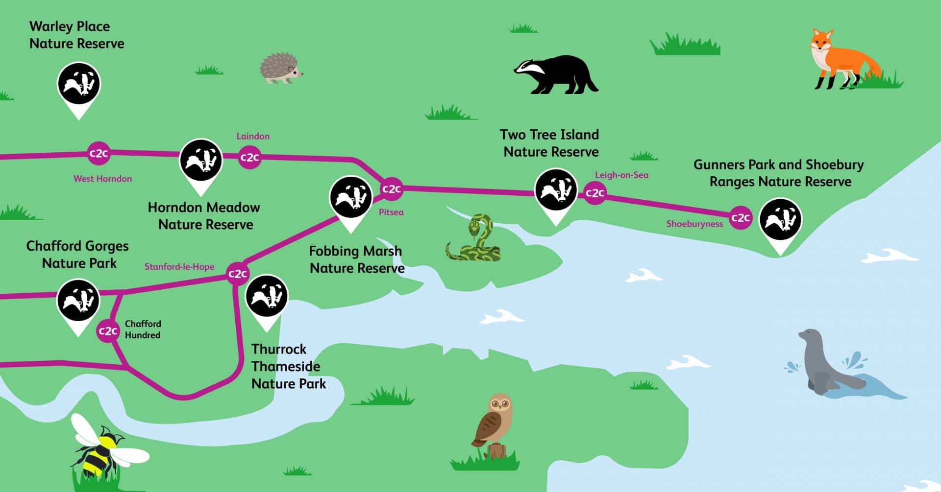 Essex Wildlife Trust spots